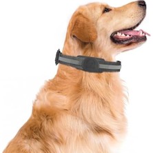 Ala Store Buff Tagsafe Dogcol Taşınabilir Anahtarlık Airtag Kılıf, Köpek Tasması ile Uyumlu, Kaybolma Önleyici Koruyucu Kılıf (Siyah)
