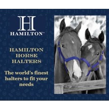 Ala Store Hamilton 3/4-Inç Ayarlanabilir Naylon At Yuları, 200 Ila 300 Lbs Sütten Kesme, Canlı Pembe