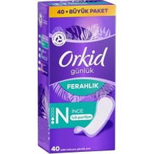 Ala Store Orkid Yaprak Günlük Ped Normal Büyük Paket 40 Adet Ped