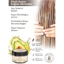 Ala Store Pxel Onarıcı Saç Kremi 300 ml – Kuru, Yıpranmış ve Kırılmaya Eğilimli Saçlar Için Yoğun Nemlendirici Bakım | Shea Yağı, Biotin, Kafein ve Bitkisel Protein Içerikli Vegan Saç Kremi