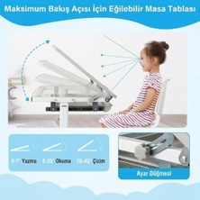 Ala Store Çocuk Mobilyaları Ayarlanabilir Ergonomik Çoçuk Aktivite Masası (3-10 Yaş Gri Renk)