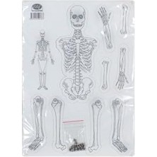 Ala Store Karton Iskelet Seti Sistemi - 1299145373