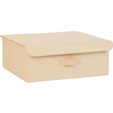 Ala Store Bej Kapaklı Kutu 48 x 40 x 19 cm