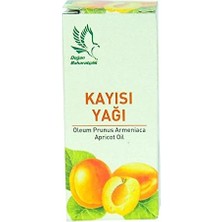 Ala Store Doğan Kayısı Yağı 20CC