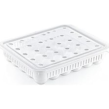 Ala Store -30LU Yumurta Saklama Kabı