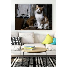 Ala Store (PSTER16466) Kedi Hayvan Kanvas Tablo 6 21 x 30