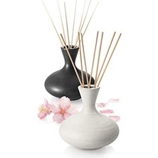 Ala Store Fancy 906598 Esans Difüzörü Için Çubuk, Cam, Ahşap, 25 Cm, 14 Adet