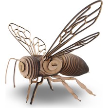 Algwood Western Honey Bee Ahşap Maket Arı – Detaylı 3D Puzzle Hobi ve Koleksiyon Modeli - 3D Ahşap Puzzle