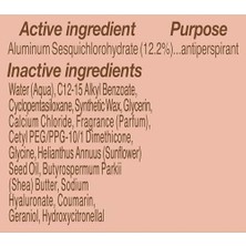 Ala Store Shea Moisture Raw Shea Butter & Hyaluronic Acid Moisturizing Antiperspirant Stick Deodorant 74GR