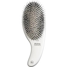 Ala Store Expert Care Curve Boar Nylon Bristles Saç Fırçası Gümüş