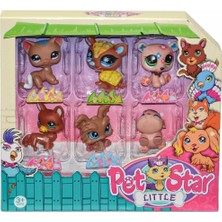 Ala Store 3046A2 Pet Star 6'lı Miniş Seti-1