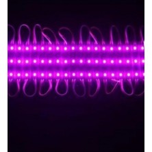 Erbay 10 Adet 1W Watt Mor Modül LED 2835 12 Volt Mor Işık