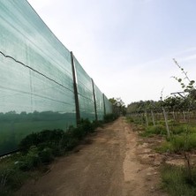 Esranın Dünyası Gölgeleme ve Çit Filesi -%55'lik Şeritli ve Halkalı Yeşil File - Bahçe ve Kümes Gölgeliği - 2 M x 3 M