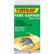 Esranın Dünyası Tibtrap Zehirsiz Fare Kapanı Yapışkanı