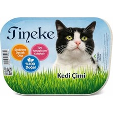 Esranın Dünyası TİNEKE%100 Doğal Fileli Kedi Çimi (Tüy Yumağı Önleyici)