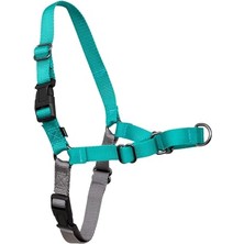 Esranın Dünyası Easy Walk No-Pull Köpek Göğüs Tasması, Çekmeyi Önlemeye Yardımcı, Kontrolü Ele Alın ve Tasmayla Daha Iyi Yürümeyi Öğretin, Large, Sarımsı Turkuaz/gri