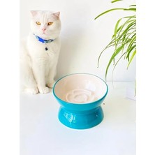 Esranın Dünyası Seramik Yavaş Yeme Mama Kabı, Turkuaz Renkli Kedi Için