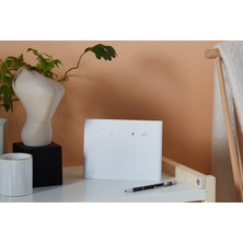 Huawei Modem/yönlendirici B315-22 Wifi N150, 4g (Zekâlı)