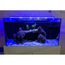 Esranın Dünyası Mavi Renkli Akvaryum LED Aydınlatma, 80CM Uzunlukta