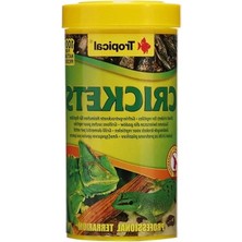 Esranın Dünyası Kurutulmuş Balık Yemi - 250ML (25GR)