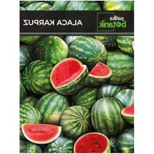 Esranın Dünyası 75 Adet Yerli Alaca Karpuz Tohumu Seti
