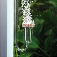 Esranın Dünyası Curved Original M Modeli Için Co2 Diffuser