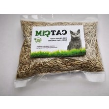 Esranın Dünyası Doğal Kedi Çimi Tohumu Karışımı, 250 Gram, Ilaçsız ve Sağlıklı