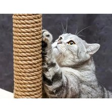 Esranın Dünyası Yüksek Kalite Kedi Tırmalama Ipi, 40 Metre Uzunluk, 4 mm Kalınlık