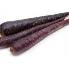 Esranın Dünyası Mor Havuç Tohumu - 5 Gram