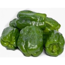 Esranın Dünyası Antep Acı Dolmalık Biber Tohumu - 5 Gram