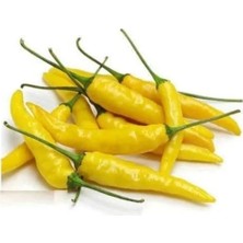Esranın Dünyası Sarı Süs Biber Tohumu - 3 Gram