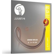 Esranın Dünyası Elektro Gitar Teli Seti, 09-42 Süper Hafif Tasarım