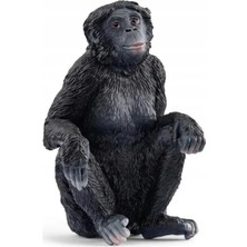 Esranın Dünyası Doğayı Keşfet: Bonobo Figürü