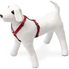 Esranın Dünyası Kilitli Göğüs Tasma, Köpek, 45-70 Cm, Kırmızı