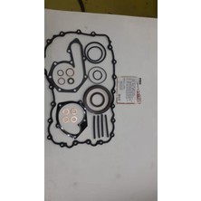 Oto Conta Depomix Alt Takim Contasi (Keçeli) Renault MEGANE-KANGO-SCENİC-LAGUNA-R19-MOVANO-VİVARO 1.9 (F9Q)
