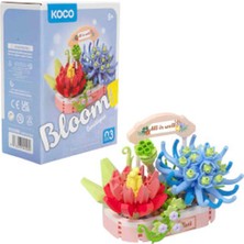 Koco Bloom Boutique Sukulent 271 Parça