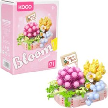 Koco Bloom Boutique Karışık Sukulent 249 Parça
