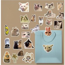 Komik Kedi/meme Cat Sticker Paketi/bullet Journal Defter Çıkartma Ajanda Laptop Etiket