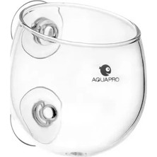Aqua Pro Aquapro Glass Plant Pot Cam Bitki Saksısı