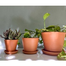 Terracotta Savana Saksı+Tabak • Yeşil Sarı (Orta)