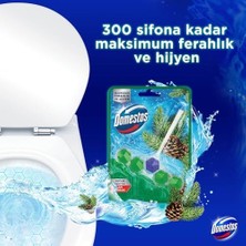 Domestos Wc Blok 5'li Güç Tuvalet Bloğu Çam Ferahlığı Maksimum Hijyen 50 G