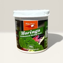 Shrimpsforever Moringa 30GR