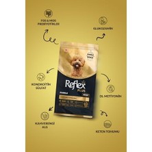 Reflex Plus Poodle Yetişkin Köpek Maması 2 kg