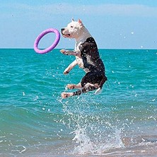 Köpek Oyuncağı, Köpek Eğitim Halkası, Çiğneme, Koşu, Atlama, Atış Için, Zehirli Olmayan, Yüzer, Standart Çektirme, Orta ve Büyük Köpekler Için Köpek Oyuncağı, 2 Fitness Halkası Seti