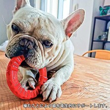 Smile Aromalı Halka Köpek Oyuncağı, Kırmızı, M (2 Paketi)