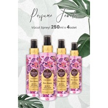 Pj Body Splash Kisses 250 ml x 4 Adet
