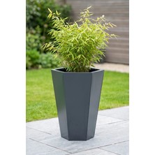 Desen Dekorasyon Zenith 60 cm Dikey Altıgen Saksı - İç ve Dış Mekan Modern Metal Saksılık (60x40x26 cm)
