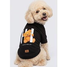 Peti Tailor Köpek Kıyafeti Compak Penye Teddy Bear Hı Baskılı Köpek Tişörtü