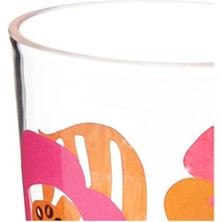 Bliss Store RF2742-7282 Diş Macun Kabı, Akrilik, Kırmızı/şeffaf