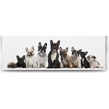 Bliss Store Fransız Bulldog Ailesi Tablosu - 120X40CM